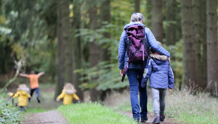 morförälder och barn går tillsammans i skogen